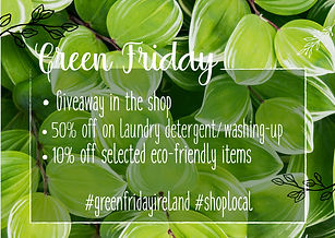 Green Friday Ireland Event 